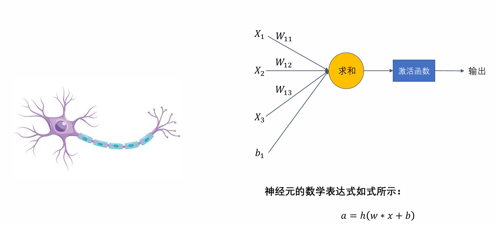 image-20240908155603892